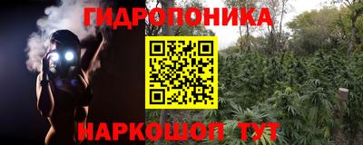 амф Гусь-Хрустальный