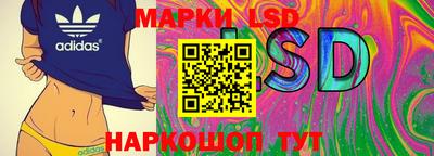 амф Гусь-Хрустальный